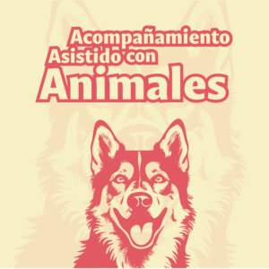 La-Salle-Organismos-Estudiantiles-Grupos-01